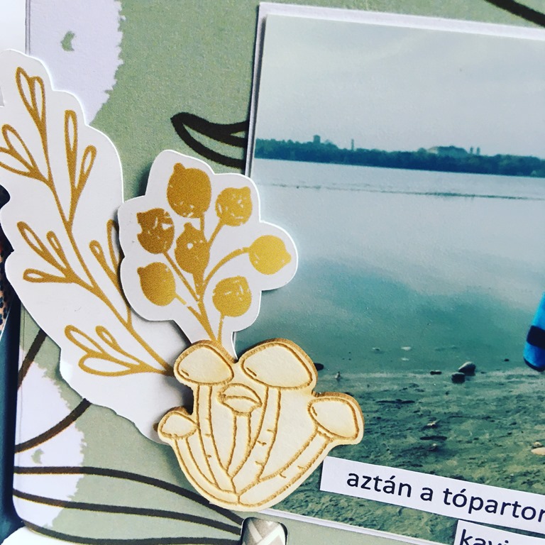 Retro album ScrapUp! Blog