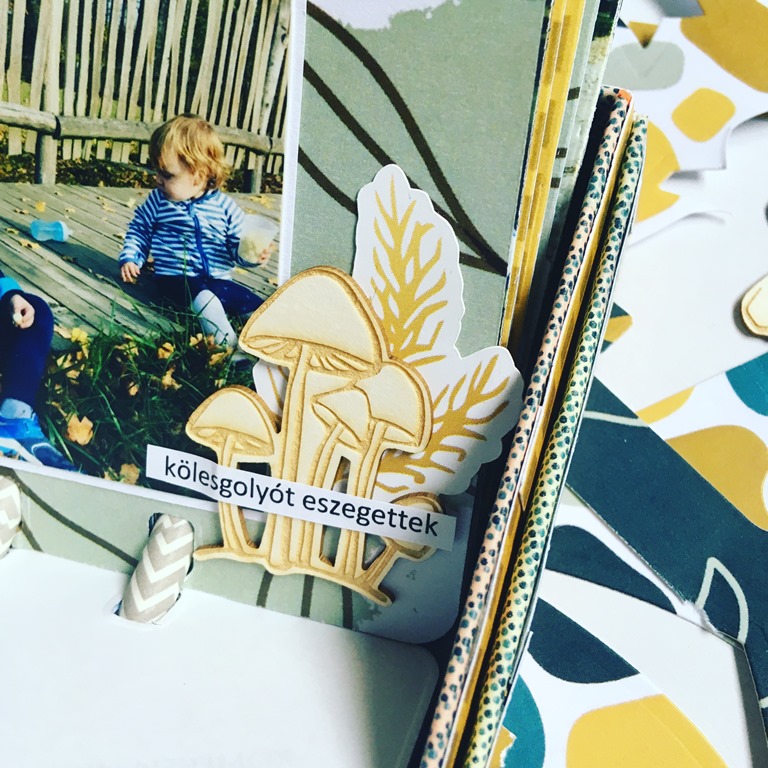 Retro album ScrapUp! Blog