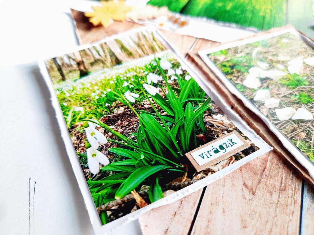 &Eacute;lni j&oacute;! ScrapUp! Blog