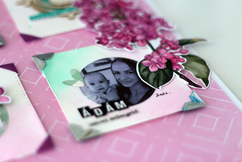 Orgona &aacute;ga ScrapUp! Blog