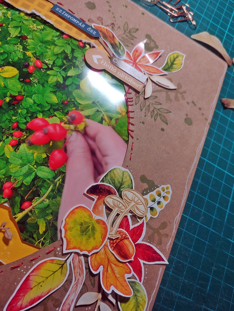 Őszi sz&iacute;nek ScrapUp! Blog