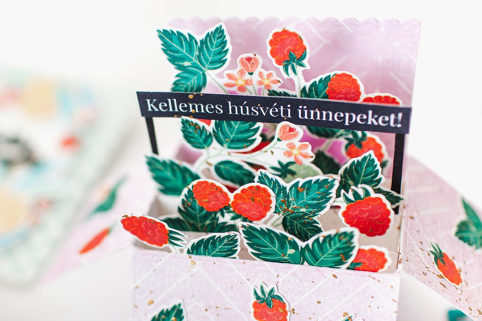 Lencsev&eacute;gen 4 ScrapUp Blog