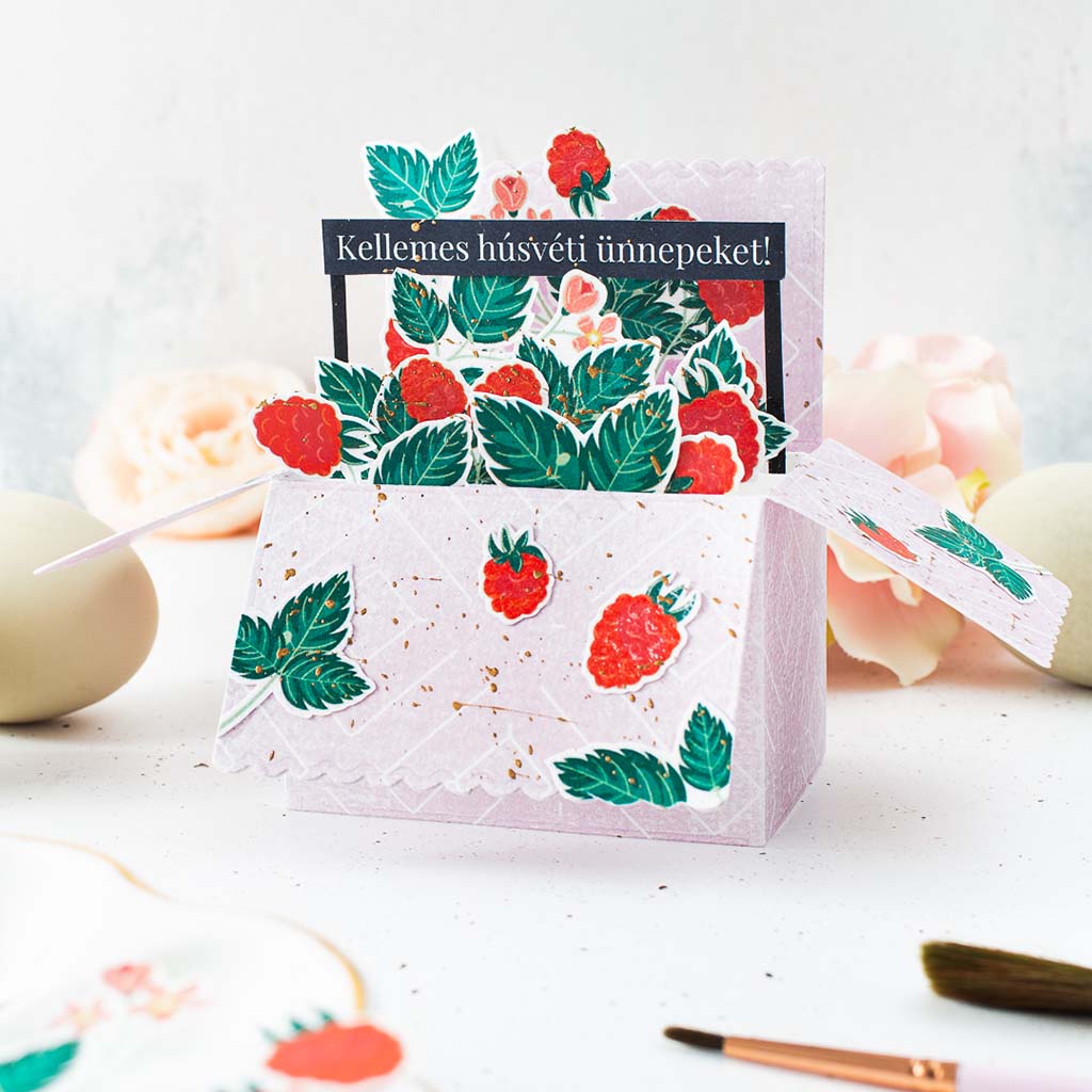 Lencsev&eacute;gen 4 ScrapUp Blog