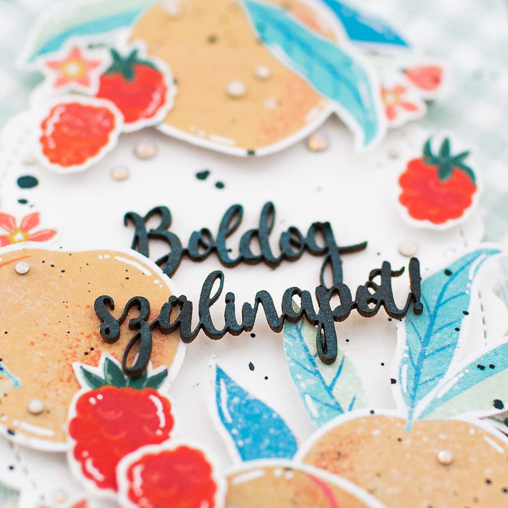 Lencsev&eacute;gen 4 ScrapUp Blog