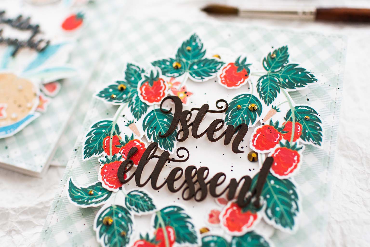 Lencsev&eacute;gen 6 ScrapUp Blog