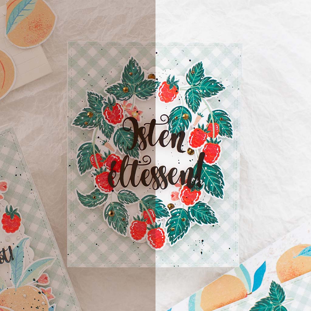 Lencsev&eacute;gen 6 ScrapUp Blog