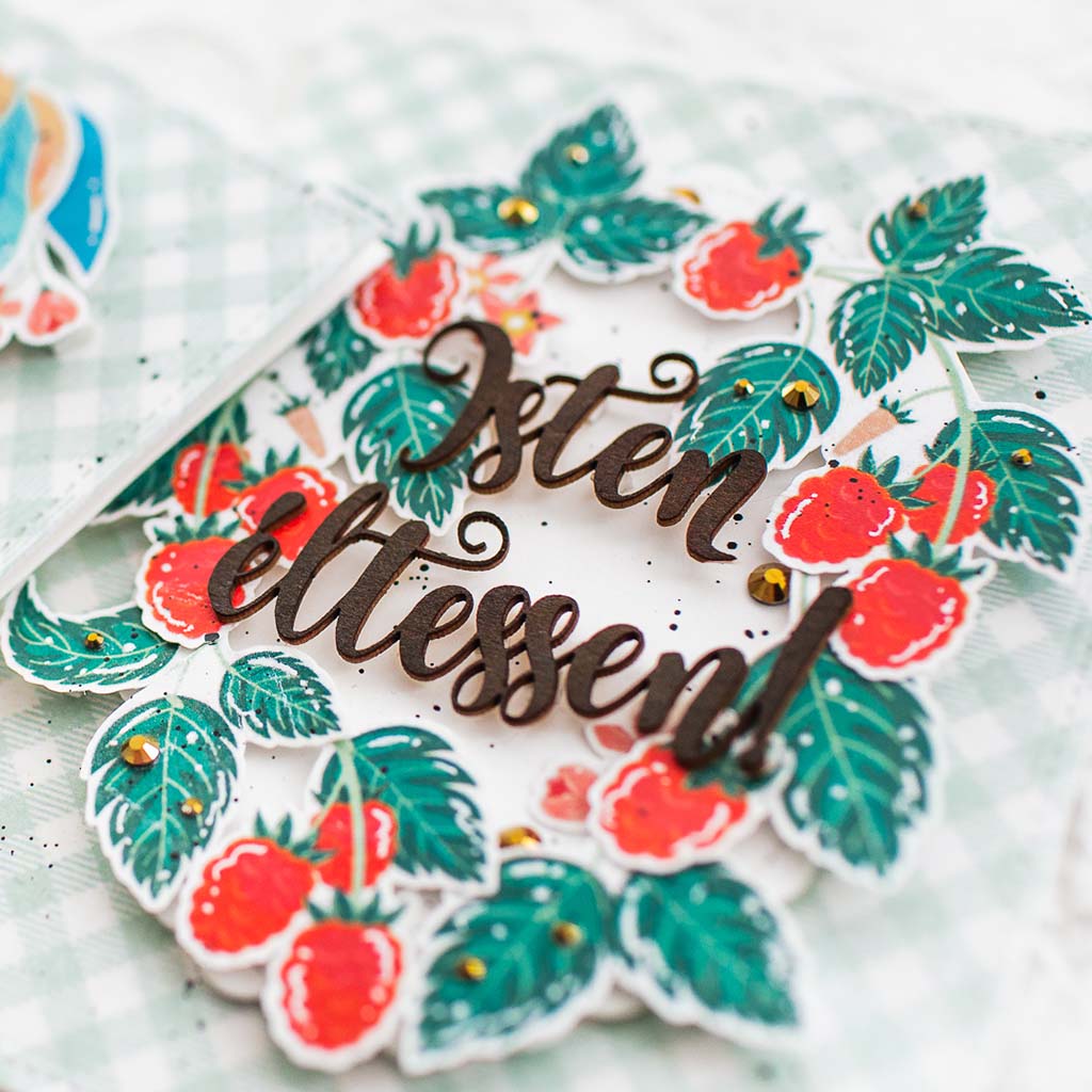 Lencsev&eacute;gen 6 ScrapUp Blog