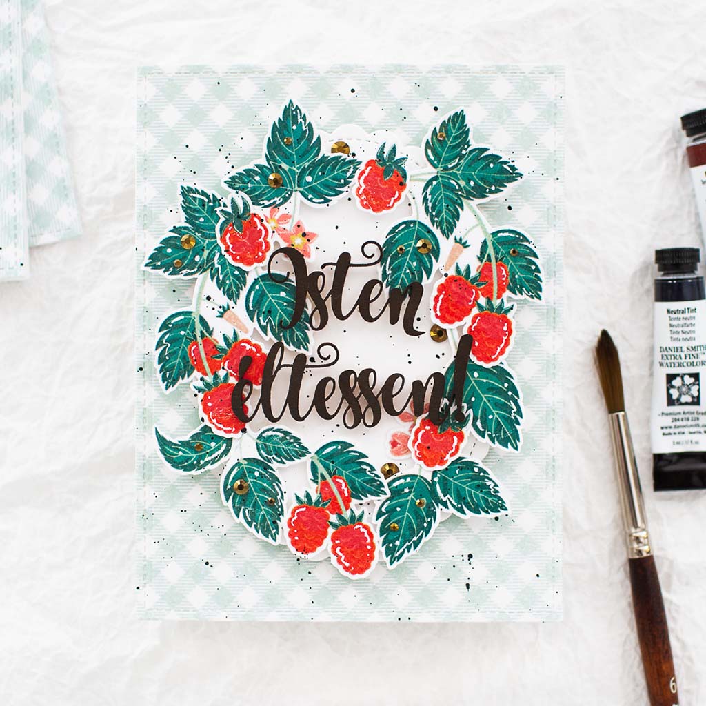 Lencsev&eacute;gen 6 ScrapUp Blog