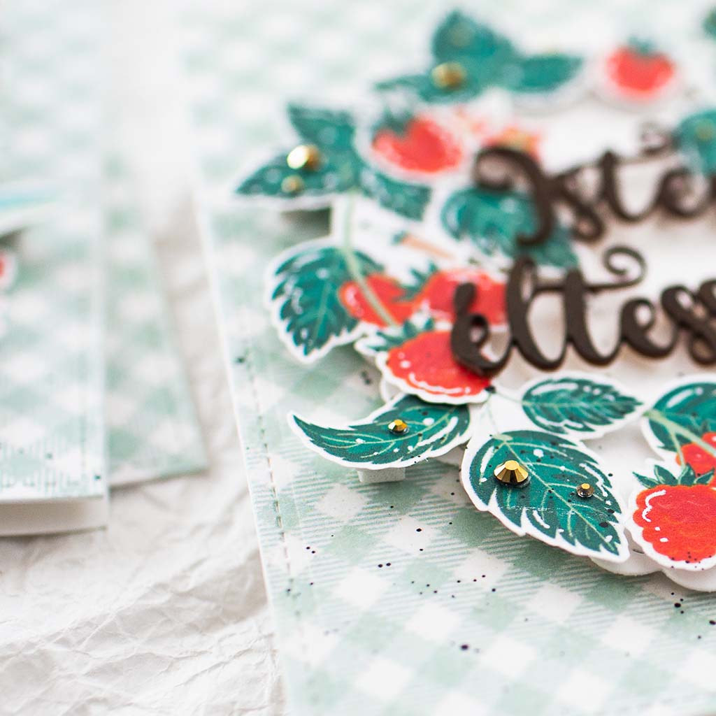 Lencsev&eacute;gen 5 ScrapUp Blog