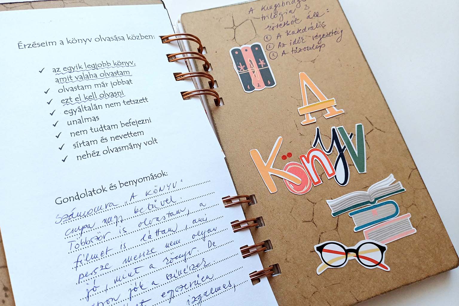 Olvas&oacute;napl&oacute; ScrapUp Blog