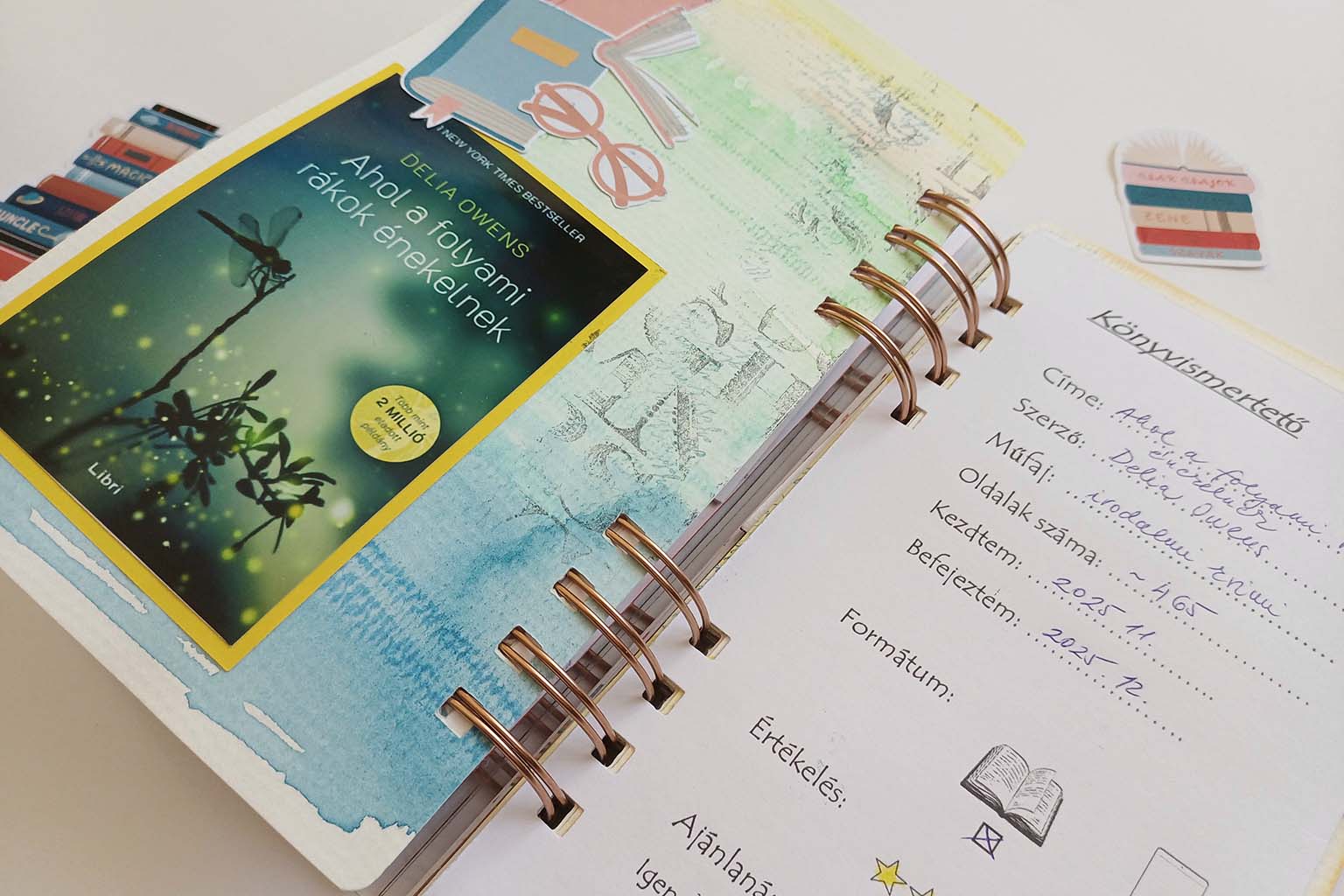 Olvas&oacute;napl&oacute; ScrapUp Blog