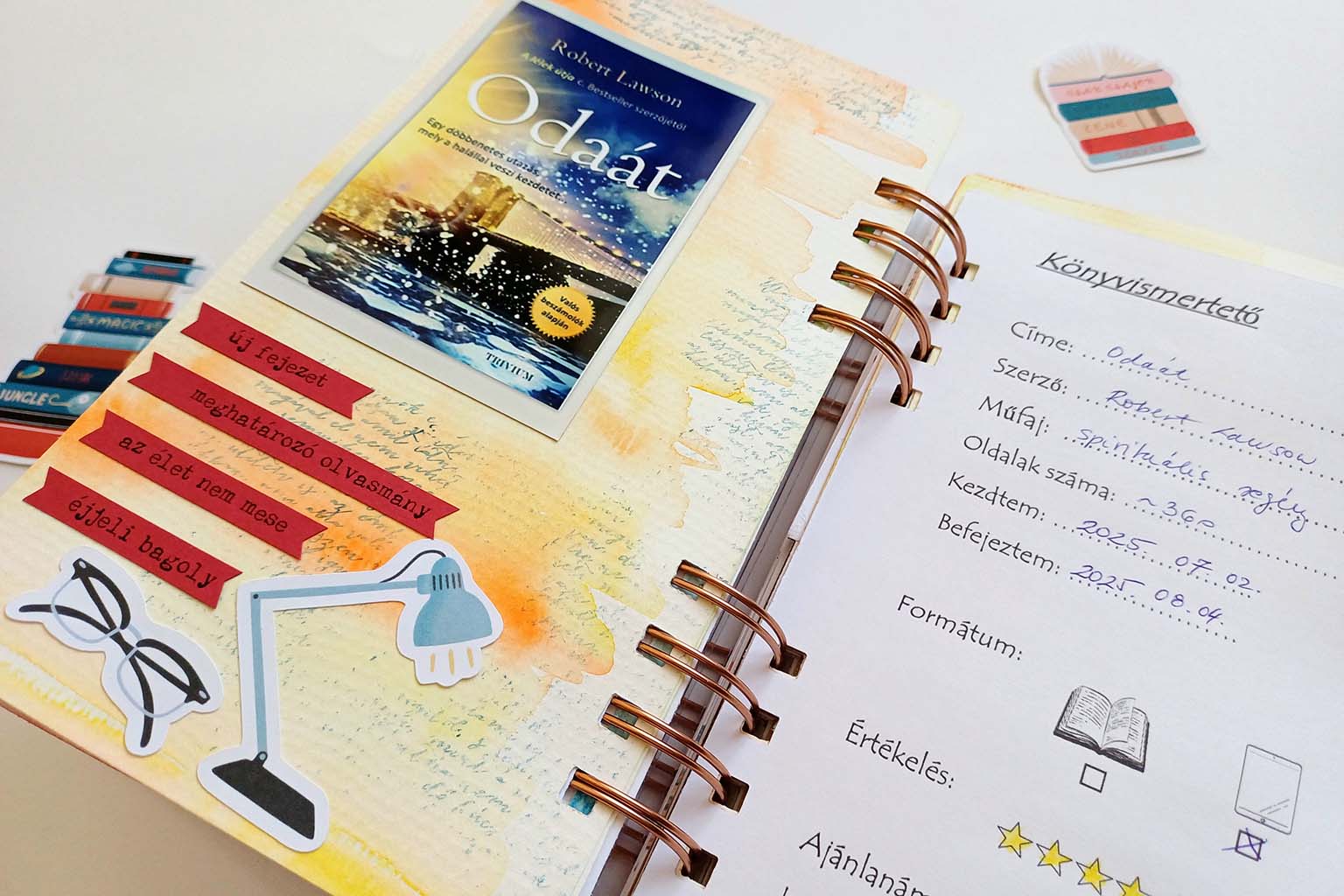 Olvas&oacute;napl&oacute; ScrapUp Blog