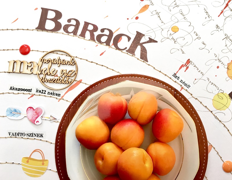 noicsizma-barack-szezon3 Blog - Scrapup.hu - ScrapBook Web&aacute;ruh&aacute;z