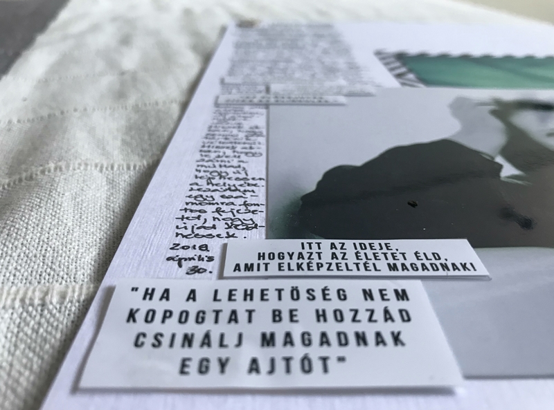 noicsizma merj elni11