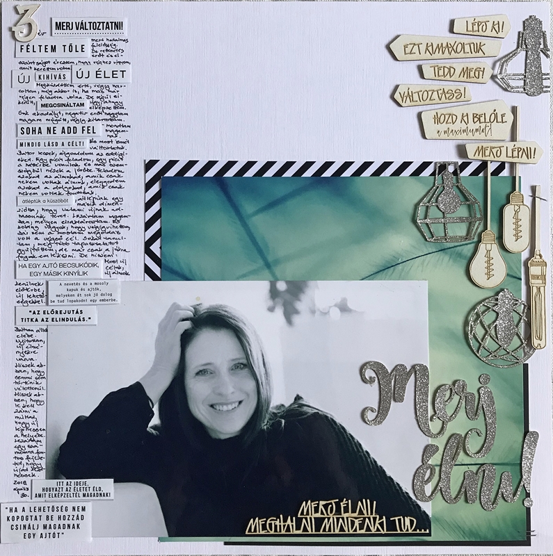 noicsizma merj elni11