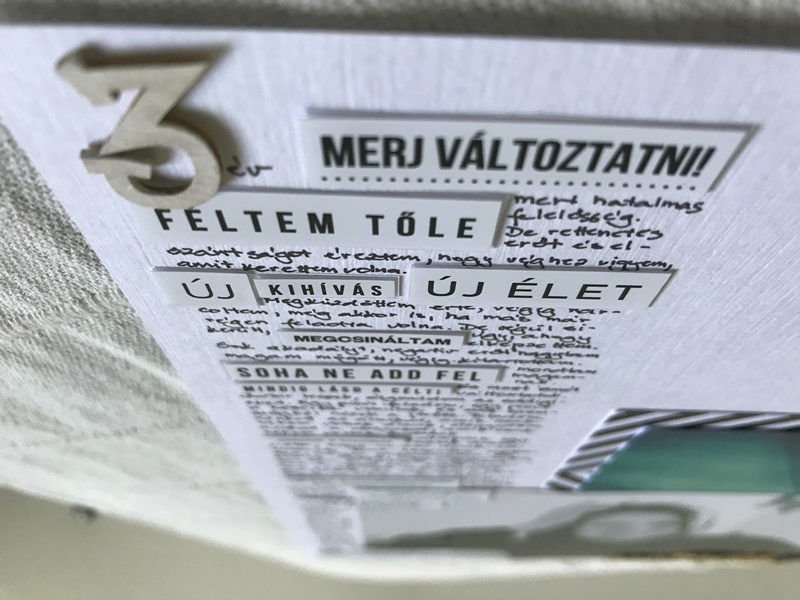 noicsizma merj elni11