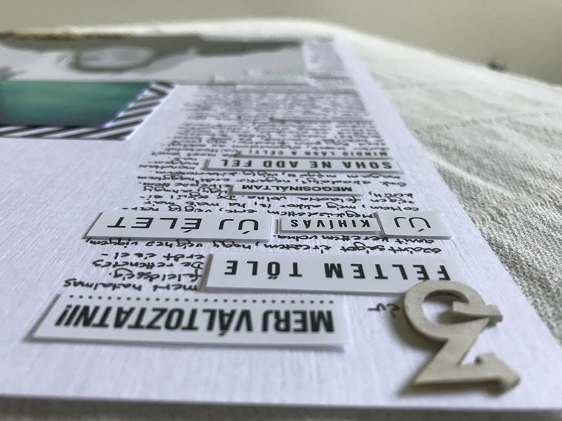 noicsizma merj elni11