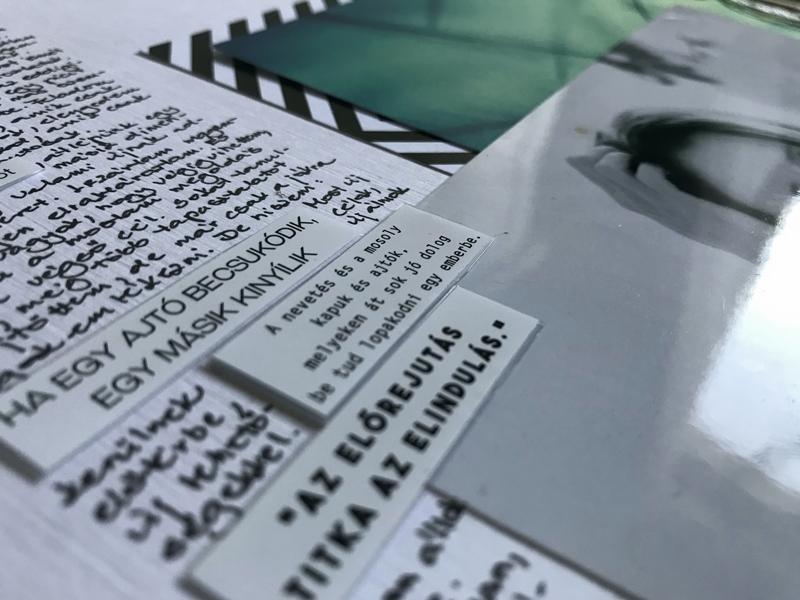 noicsizma merj elni11