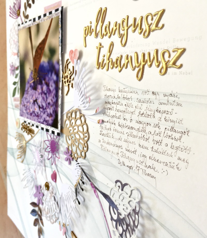 noicsizma pillangusz.tihanyusz9