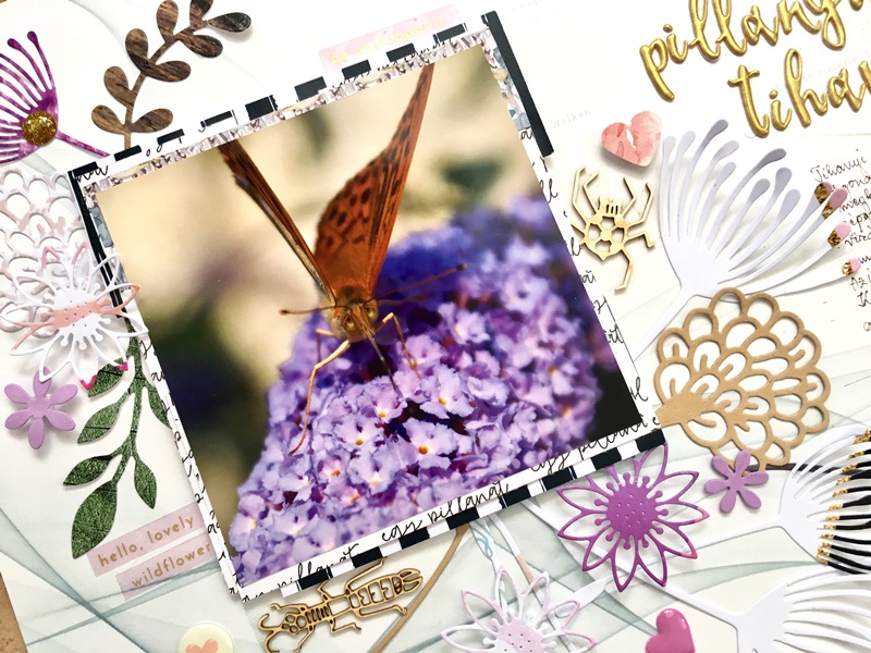 noicsizma-pillangusz.tihanyusz3 Blog - Scrapup.hu - ScrapBook Web&aacute;ruh&aacute;z