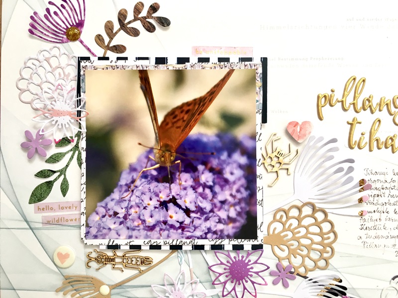 noicsizma pillangusz.tihanyusz9