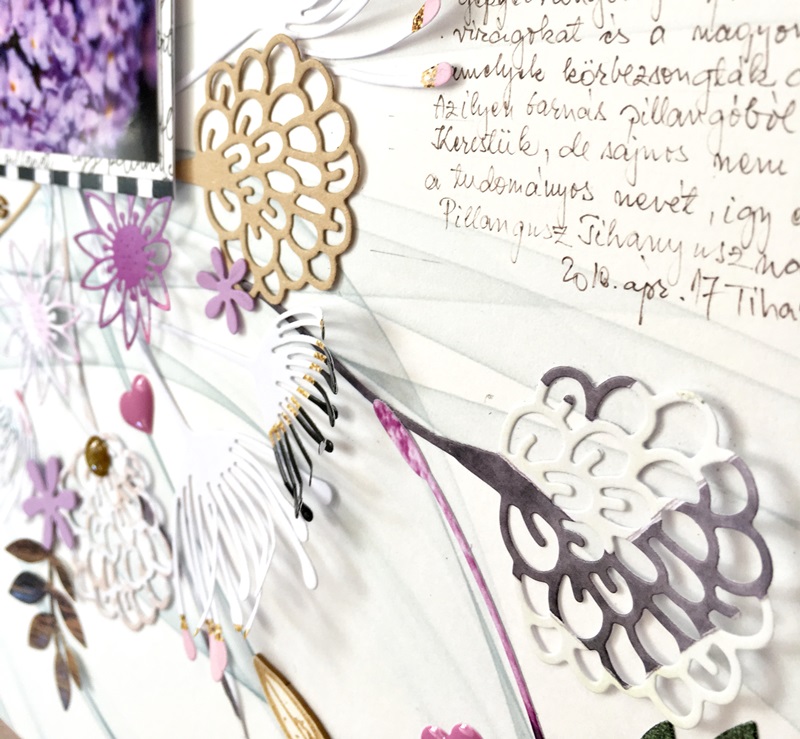 noicsizma pillangusz.tihanyusz9