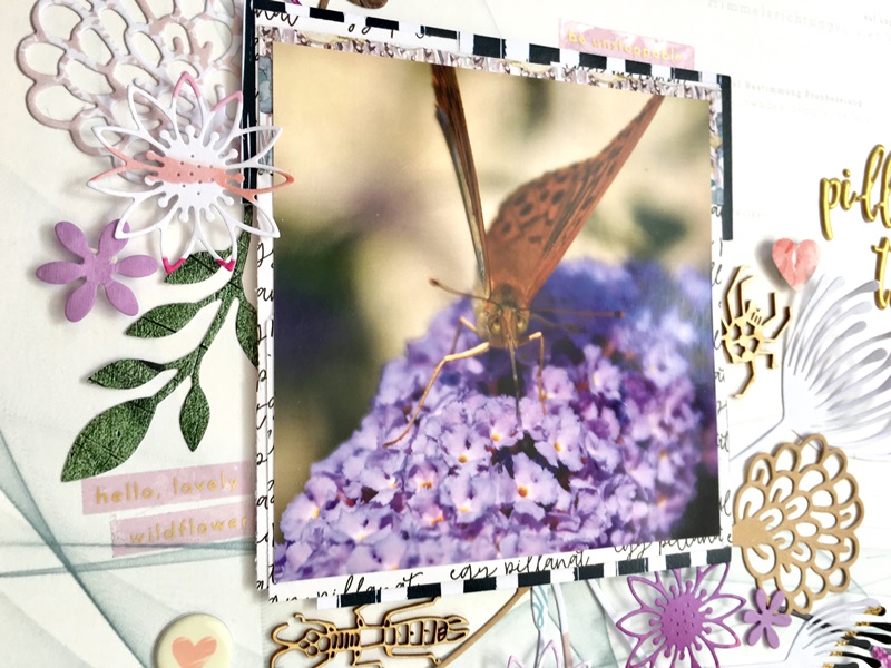 noicsizma pillangusz.tihanyusz9