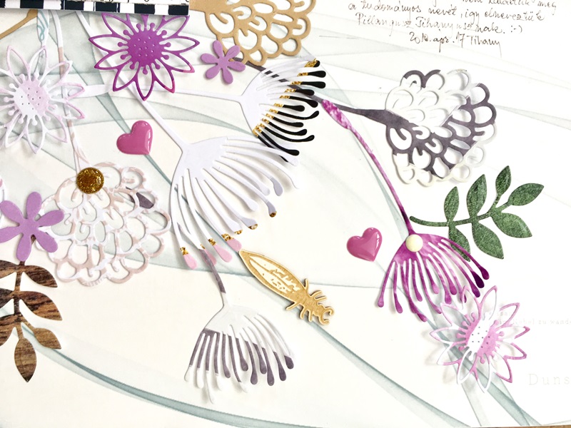 noicsizma pillangusz.tihanyusz9