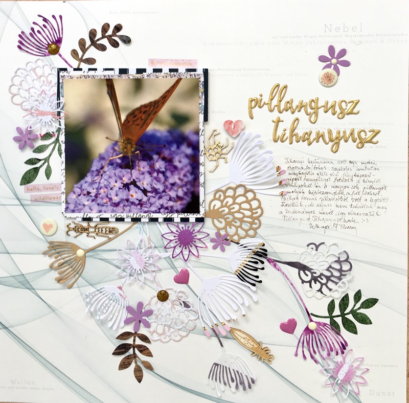 noicsizma pillangusz.tihanyusz9