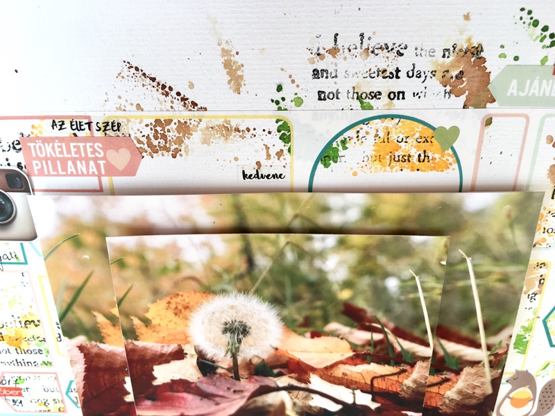 noicsizma tokeletes osszhang7