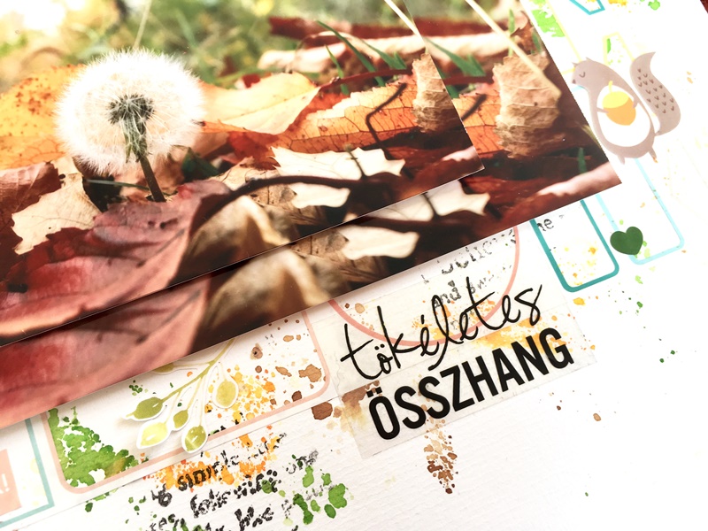 noicsizma-tokeletes-osszhang4 T&ouml;k&eacute;letes &ouml;sszhang - Scrapup.hu - ScrapBook Web&aacute;ruh&aacute;z