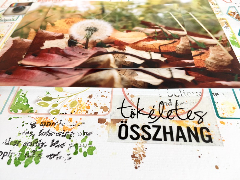 noicsizma tokeletes osszhang7