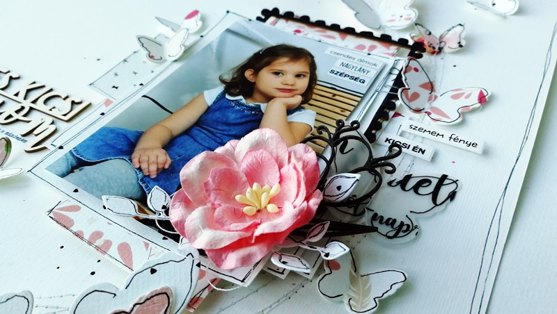 kisherceg kishercegno noicsizma