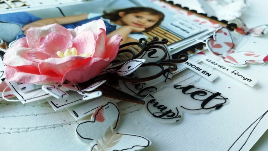 kisherceg kishercegno noicsizma