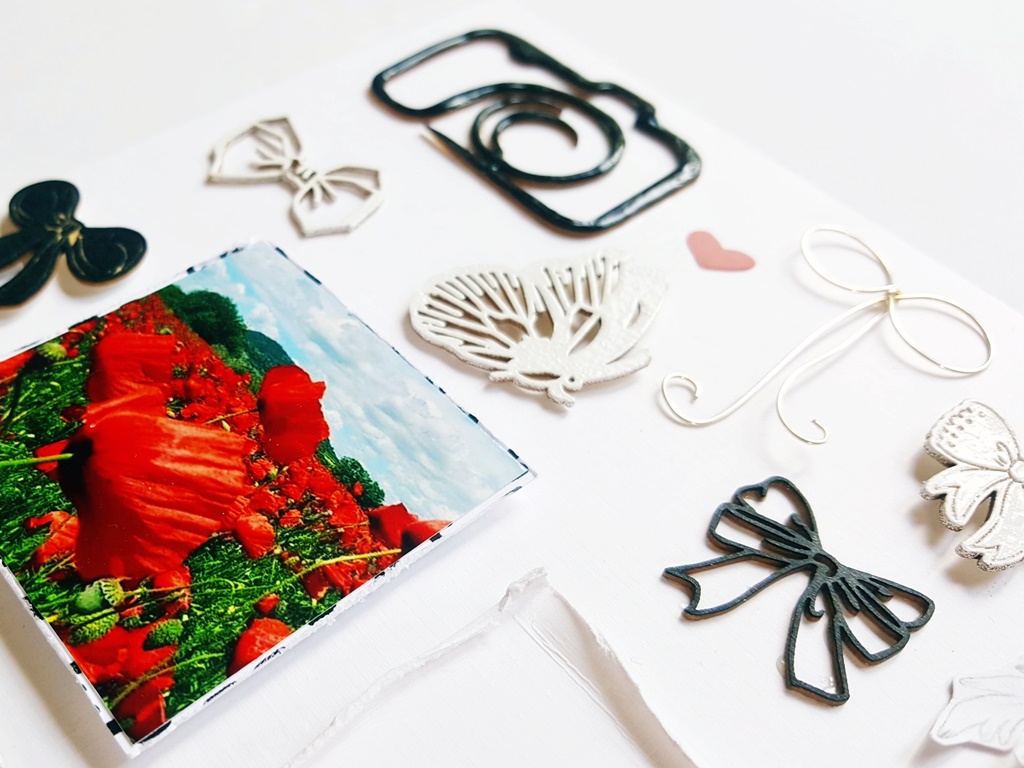 pipacsmezore tevedve scrapup1