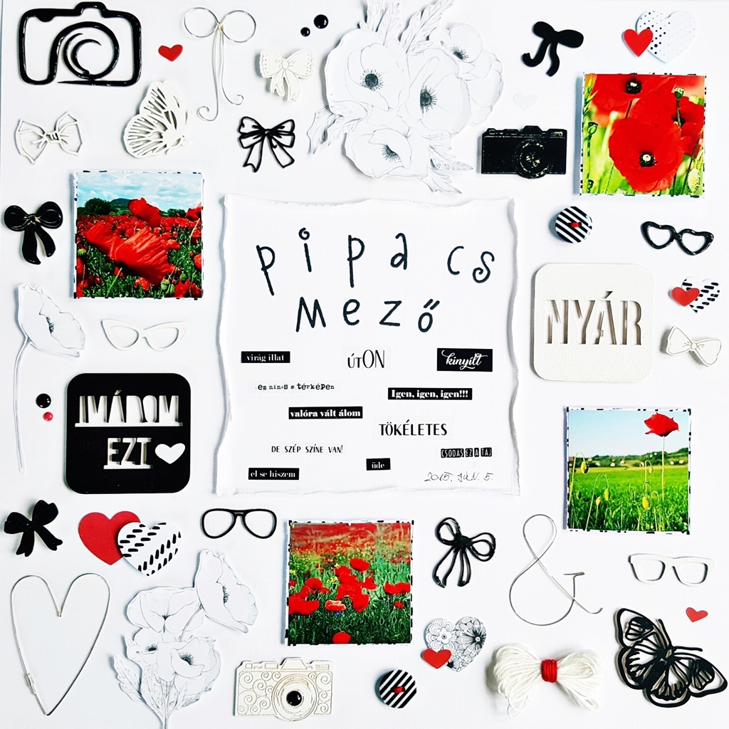 pipacsmezore tevedve scrapup1