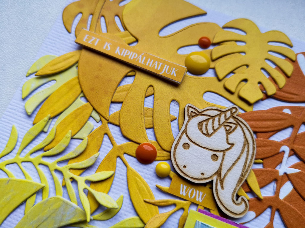 noicszma fantasztikus vagy1