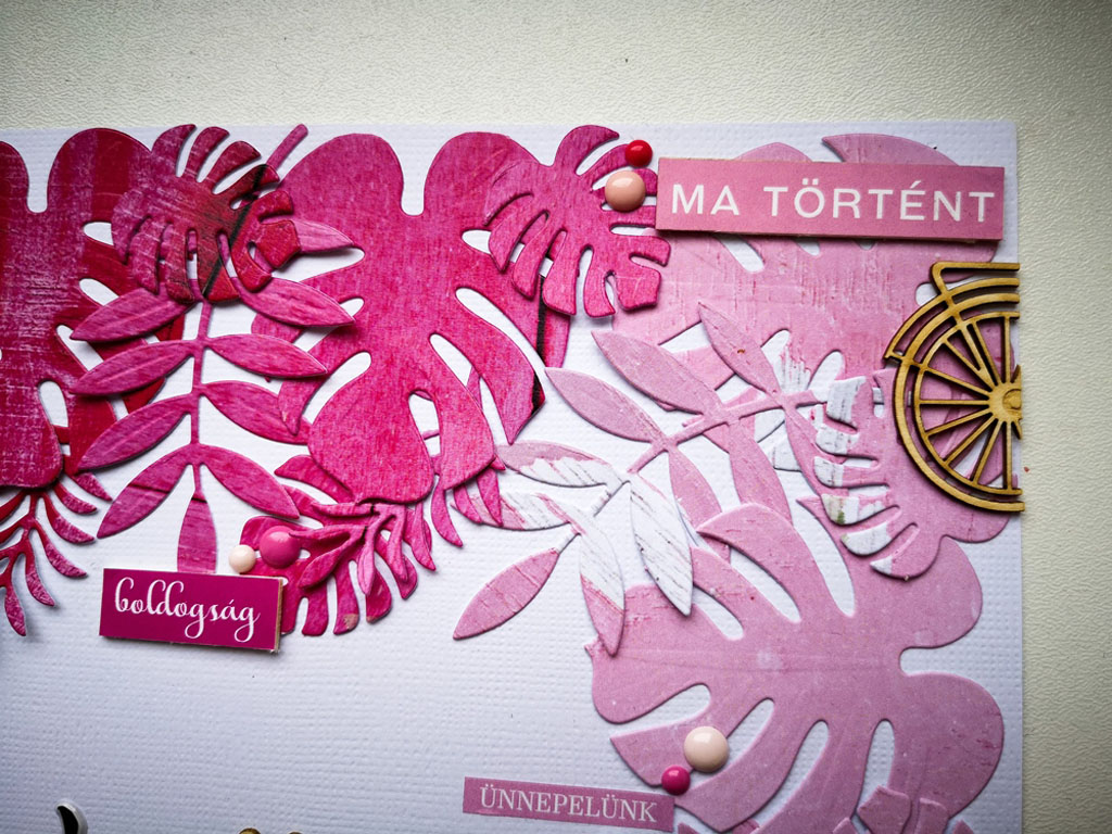 noicszma fantasztikus vagy1