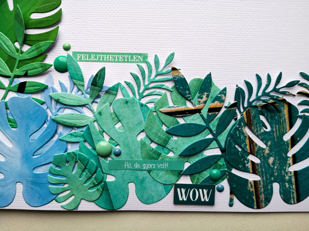 noicszma fantasztikus vagy1