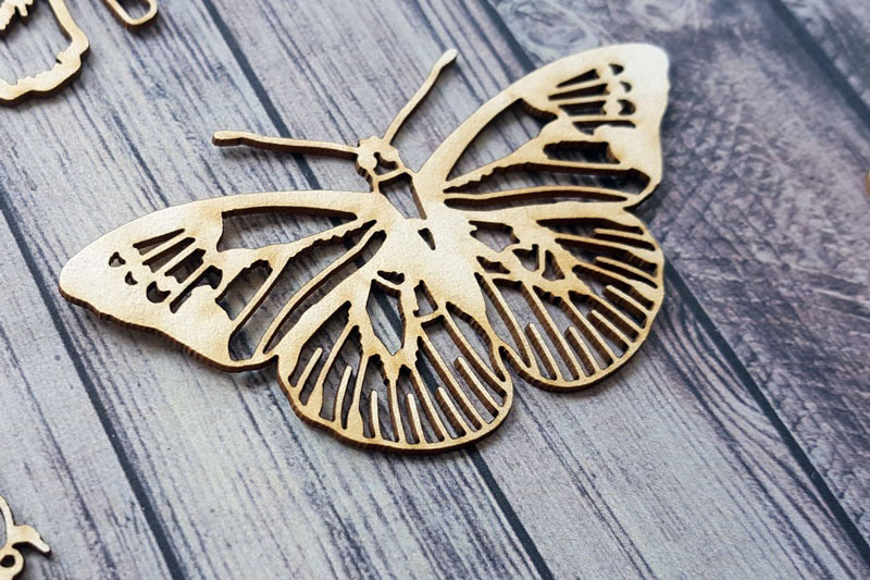 20170811_135811_resized__1537902837_992