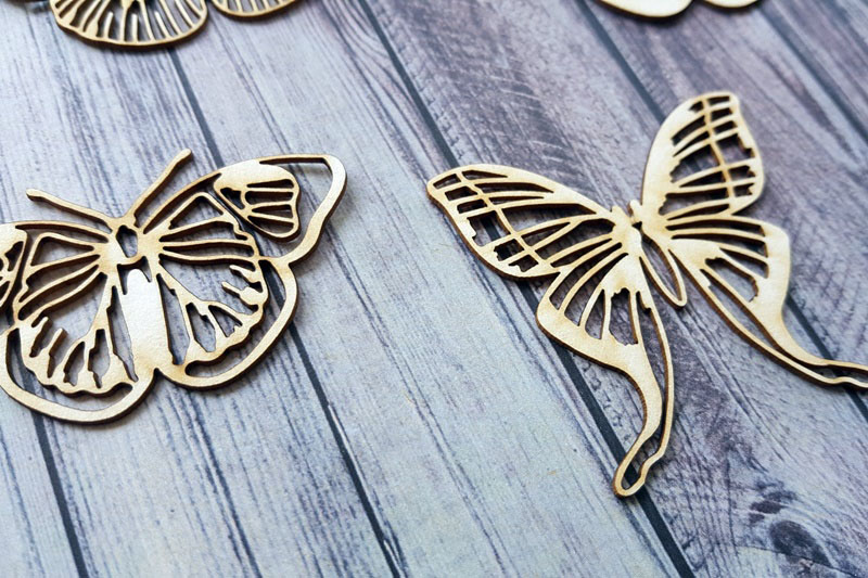 20170811_135814_resized__1537902837_581