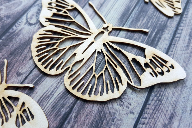 20170811_135822_resized__1537902837_719