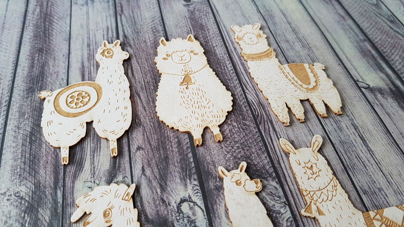 20180302_113306__1538396902_57