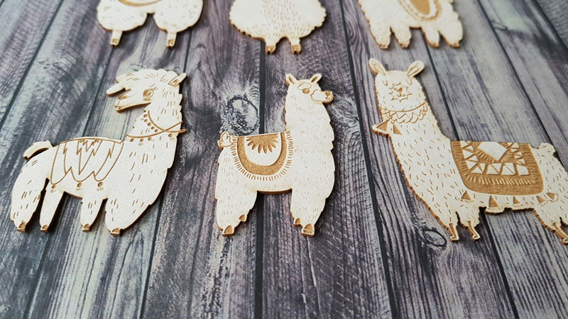 20180302_113321__1538396902_947