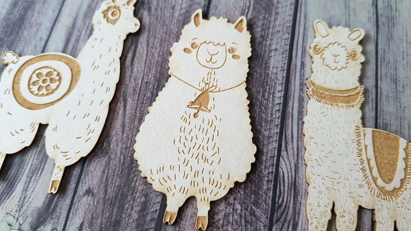 20180302_113352__1538396903_243