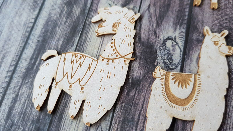 20180302_113402__1538396904_599