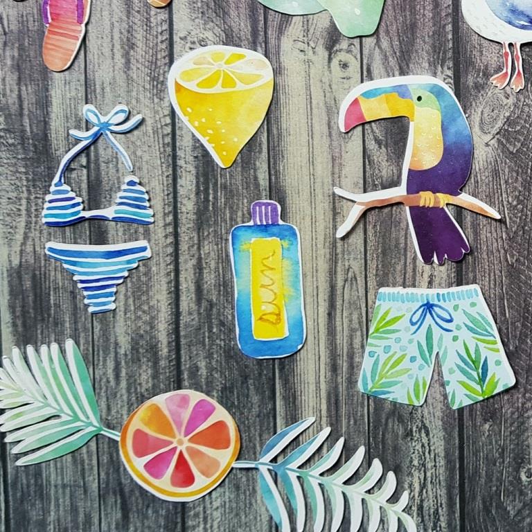 20180905_140509__1541509994_854