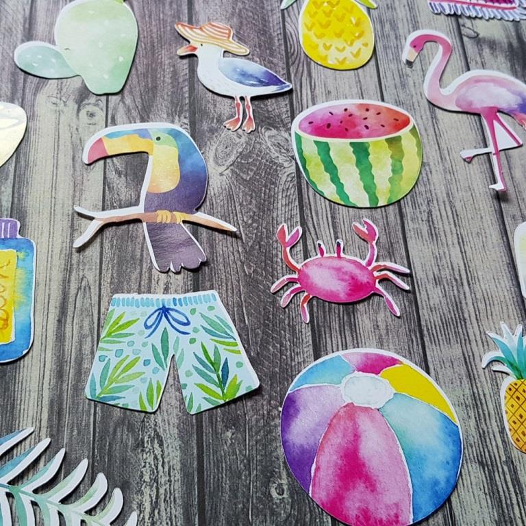 20180905_140519__1541509995_184