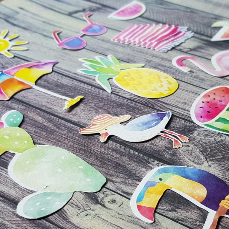 20180905_140525__1541509995_223