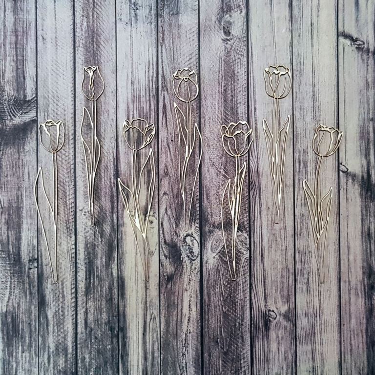 20190125_103634_resized__1548416932_99